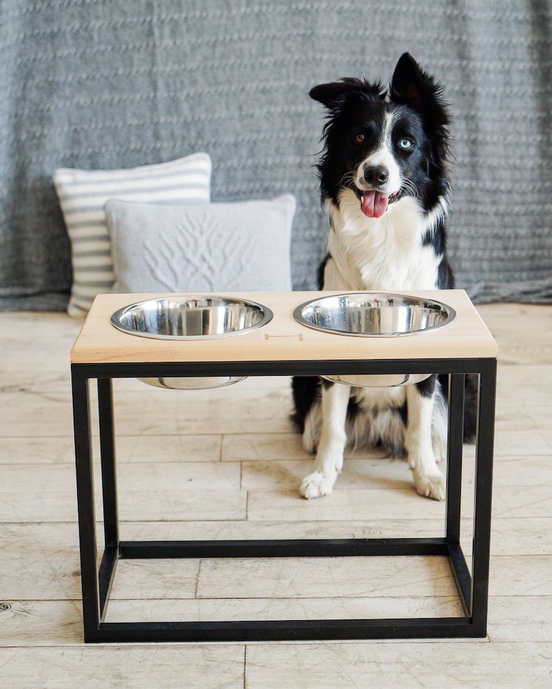 Dog Bowls for Big Dog Dog Bowls With Stand for Labrador Xs Etsy Canada