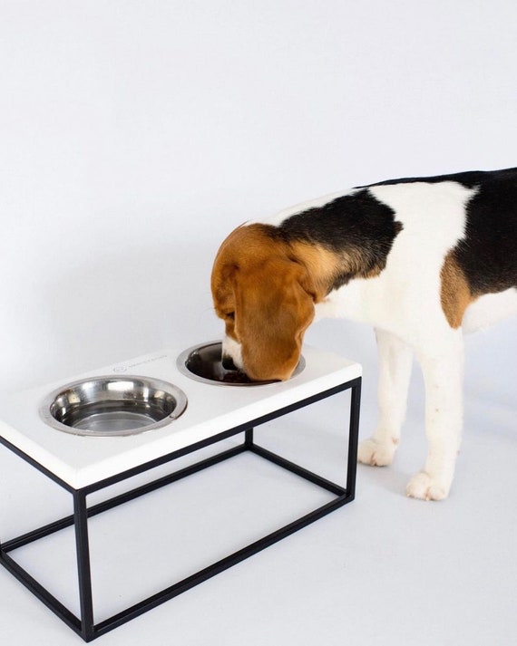 Modern Elevated Dog Bowl Stand, Small - Large Dog Feeding