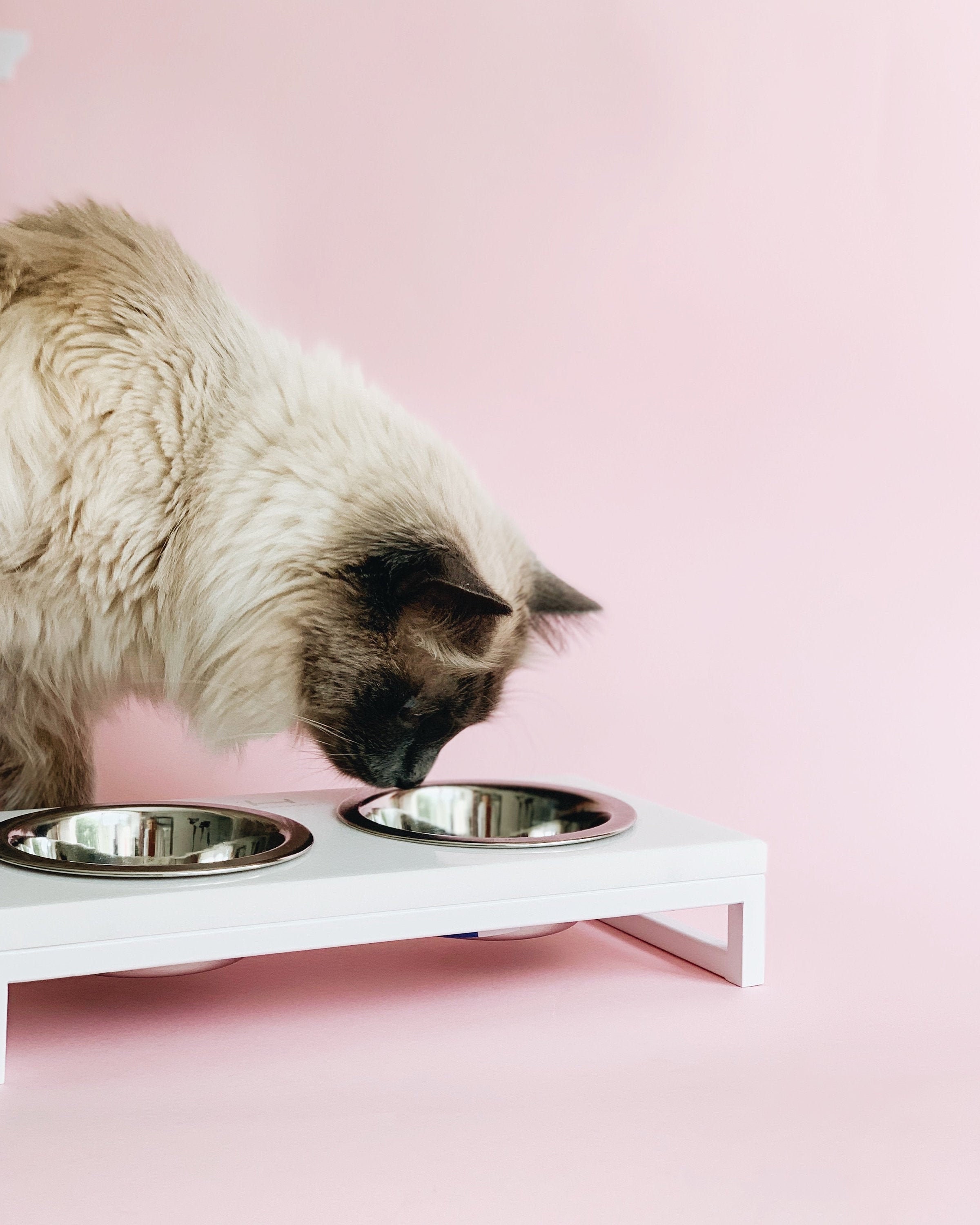 small metal cat bowls
