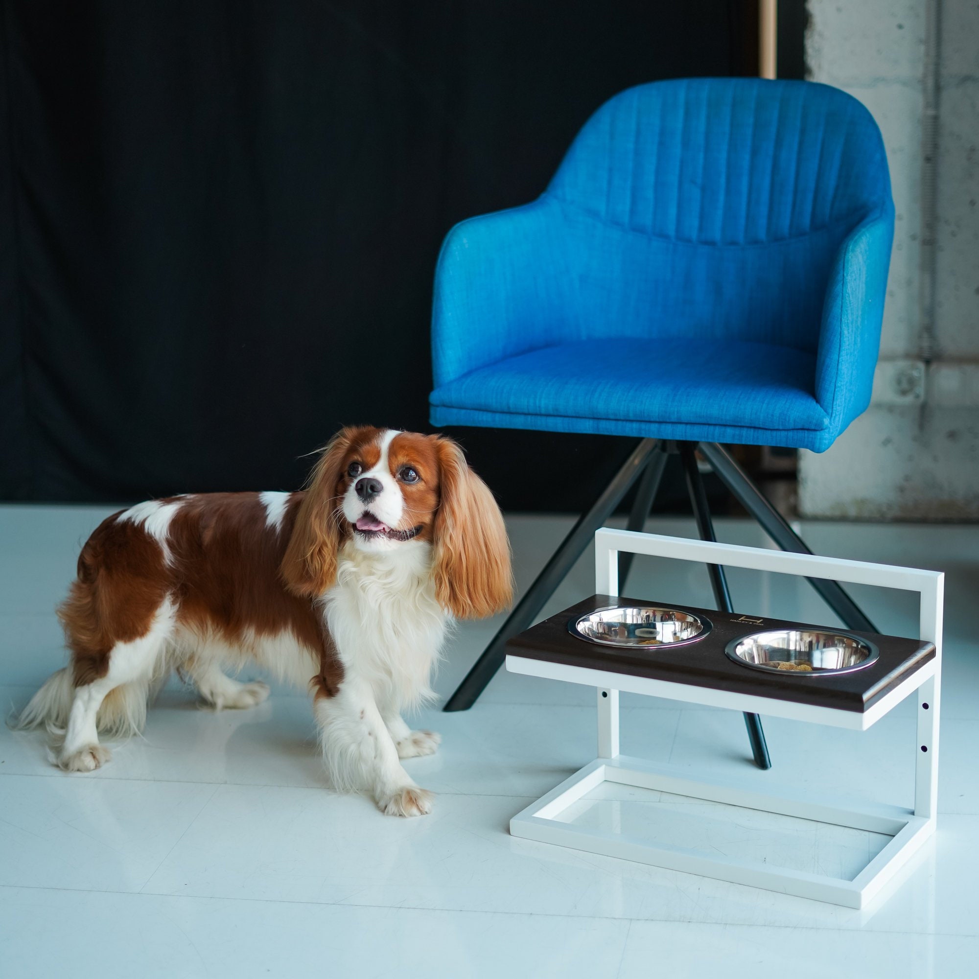 raised food and water bowls for dogs