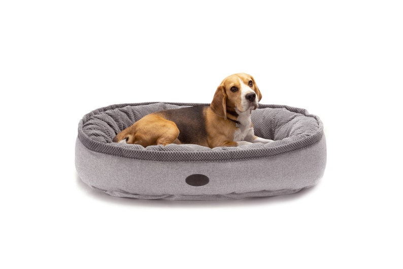 May include: A gray and white oval dog bed with a beagle dog lying in it. The dog bed has a raised edge and a textured fabric.