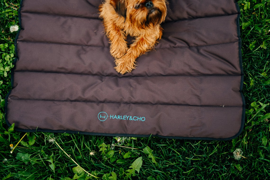 Dog Roll up Travel Mat waterproof dog mat portable outdoor Etsy