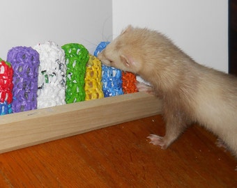 ferret toys