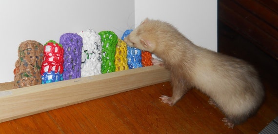Fun ferret cheap toys