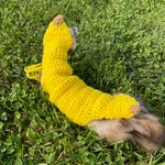Ferret Clothing