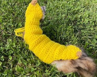 Ferret Banana Suit