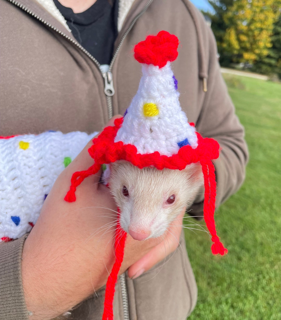 Custom Ferret Costumes, Pet Halloween Costume, Ferret Outfit, Gift for
