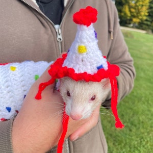 Custom Ferret Costumes, pet Halloween costume, ferret outfit, gift for ferret owner