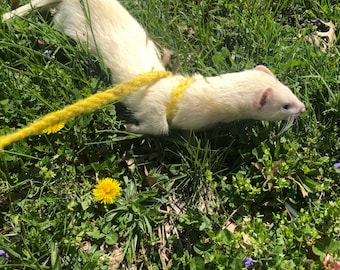 Ferret/small pet self-adjusting Infinity/figure 8 Leash Harness combination