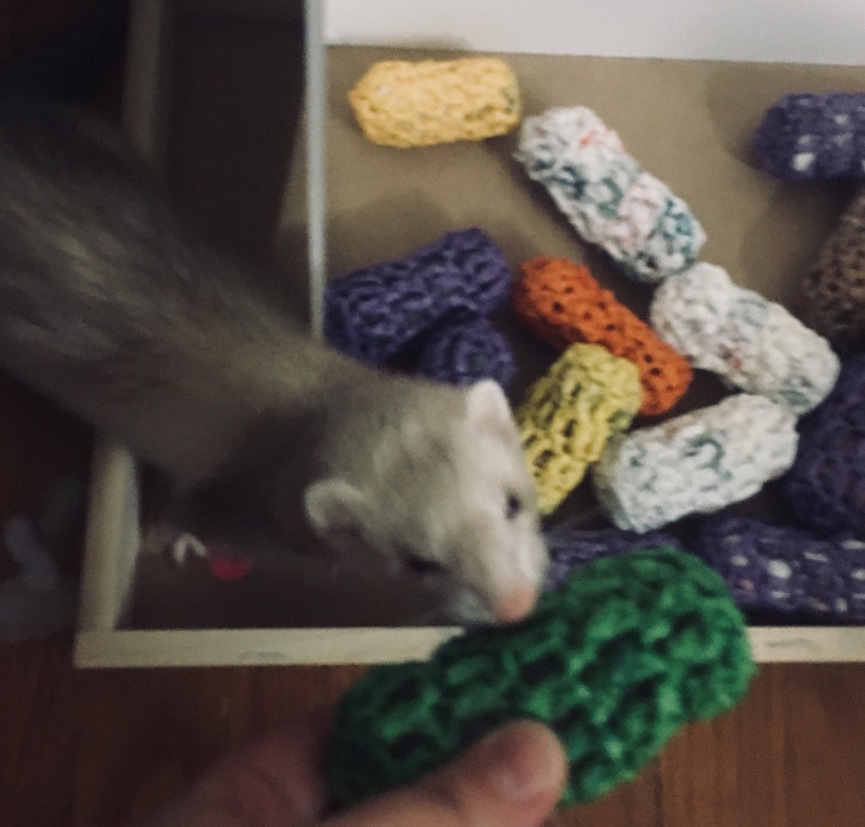 Ferret Toy Ferret Supply Ferret Hoarding the Plarn Etsy
