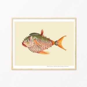 Fish Art Print / Art Poster / Collage / Fish / Sea / Wall Art / Sea Life Art Print / Giclée prints