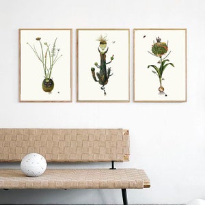 Cartel de planta. Collage de ilustraciones. Grabado botánico - Herbario - Arte botánico de la pared. Historia natural. Metamorfosis. Edición Limitada Impresa