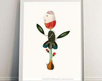 Plant Collage - Tulip flower - Weird Wall Art - Surreal Collage Print | Eclectic Wall Art | Dark Academia Decor | Vintage Plant Illustration