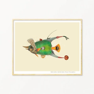 Fish Art Print / Art Poster / Collage / Fish / Sea / Wall Art / Sea Life Art Print / Giclée prints