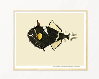 Fish Art Print / Art Poster / Collage / Black Fish / Sea / Wall Art / Sea Life Art Print / Giclée prints