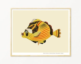 Fish Art Print / Art Poster / Collage / Yellow Fish / Sea / Wall Art / Sea Life Art Print / Giclée prints