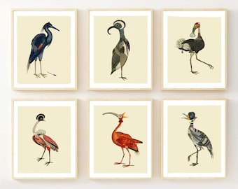 Set of 6 Exotic Bird Prints / Collage Bird Posters / Natural History / Tropical Bird Art / Zoology / Wild life / Ornithology / Giclee prints