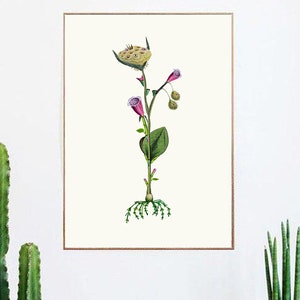 Cartel de planta. Collage de ilustraciones. Grabado botánico - Herbario - Arte botánico de la pared. Historia natural. Metamorfosis. Edición Limitada Impresa