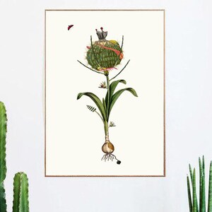 Cartel de planta. Collage de ilustraciones. Grabado botánico - Herbario - Arte botánico de la pared. Historia natural. Metamorfosis. Edición Limitada Impresa