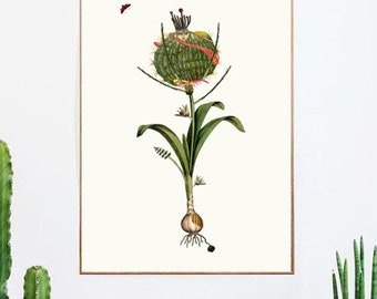 Plant poster. Illustration Collage. Botanical print - Herbarium - Botanical Wall art. Natural history. Metamorphoses. Limited Edition Print