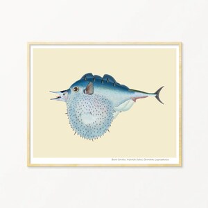 Fish Art Print / Art Poster / Collage / Blue Fish / Sea / Wall Art / Sea Life Art Print / Giclée prints
