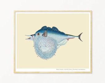 Fish Art Print / Art Poster / Collage / Blue Fish / Sea / Wall Art / Sea Life Art Print / Giclée prints