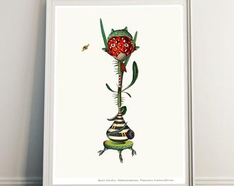 Plant Collage - Poppy flower - Weird Wall Art - Surreal Collage Print | Eclectic Wall Art | Dark Academia Decor | Vintage Plant Illustration