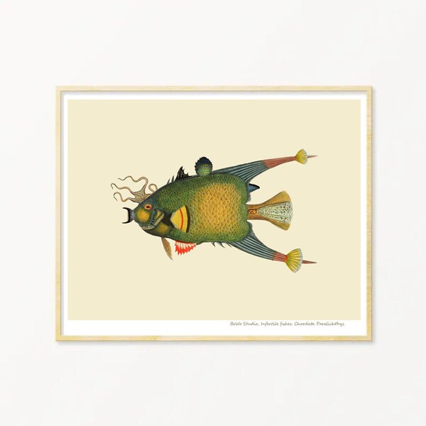 Fish Art Print / Art Poster / Collage / Fish / Sea / Wall Art / Sea Life Art Print / Giclée prints