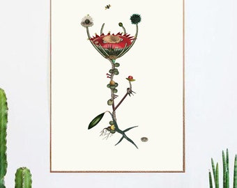 Plant poster. Illustration Collage. Botanical print - Herbarium - Botanical Wall art. Natural history. Metamorphoses. Limited Edition Print