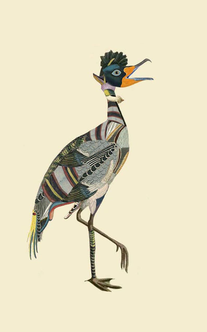 Colorful Bird Poster  Collage  Surrealism  Exotic Birds Art Print  Natural History  Tropical Bird Art  Wild life  Gicl\u00e9e print