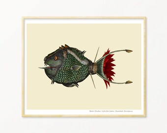 Fish Art Print / Art Poster / Collage / Fish / Piranha / Sea / Wall Art / Sea Life Art Print / Giclée prints
