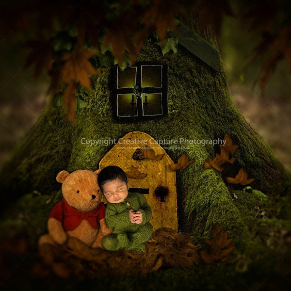 2 Newborn digital backdrops / backgrounds / Winnie The Pooh inspired / forest / magical /  fairytale / Instant download