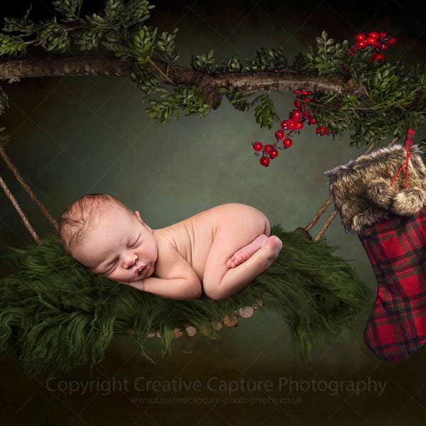 Newborn Christmas Digital backdrop / Christmas background / hammock / Christmas stocking / tree / branch