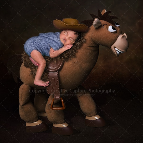 Newborn Digital backdrop / background / children's character / story inspired / horse / Instant download