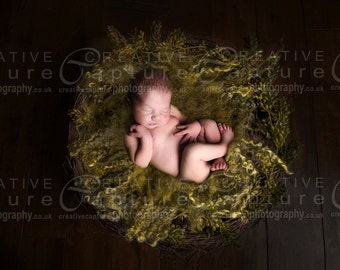 Newborn Digital backdrop / background / Newborn prop nest