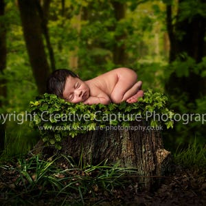 2 Newborn Digital backdrops / backgrounds / woods / Spring / summer / tree stump