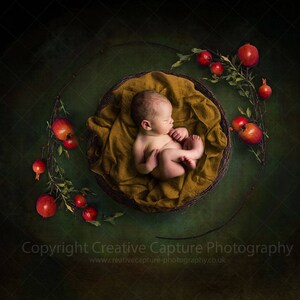 Newborn Digital backdrop / background / Autumn / Fall / apples / nest / Instant download