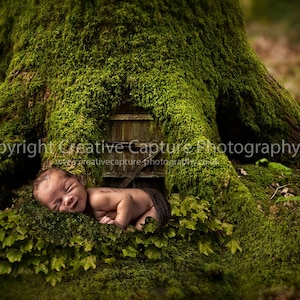 2 Newborn Digital backdrops / backgrounds / woods / Spring / summer / tree / St Patrick&#39;s day