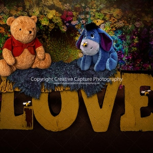 2 Newborn digital backdrops / Yellow bear / red coat / blue donkey / Love sign / painted canvas backdrop / Instant download