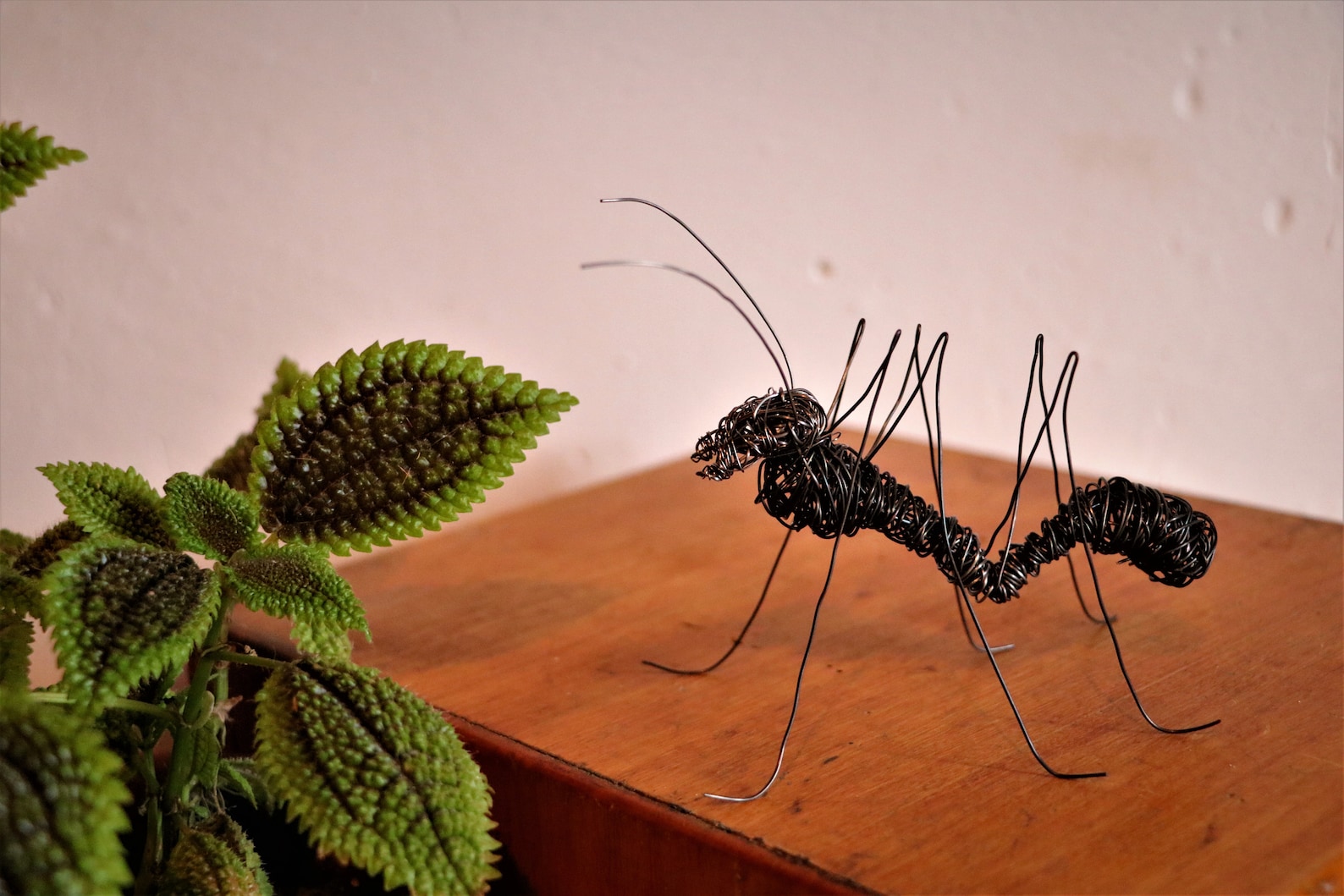 Ant wire ant wire sculpture Etsy