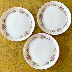 SET OF 3 Petite Round Plates. Fine Porcelain Vintage 1950s Krautheim Bavaria Heirloom Quality. Benedicte Pink Roses Floral Pattern