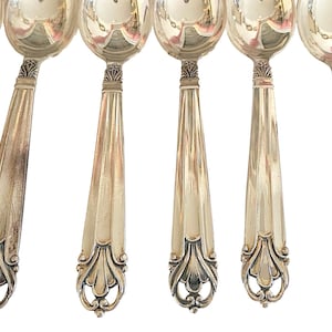 May include: Close-up of a set of silver spoons. The spoons have a decorative floral design on the handles and a reflective surface. The spoons are arranged in a row against a white background, showcasing their elegant design.