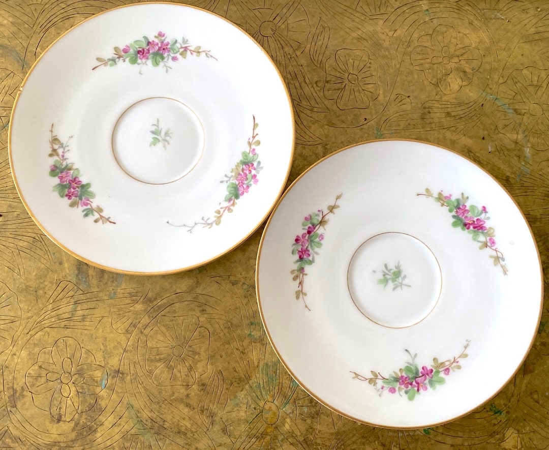 Rare Royal Copenhagen Fine Porcelain Floral Saucer Set of 2 