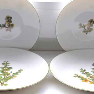 Porsgrund Fjell Flora groene rand. Alpine dwergberk bergbloem. Selecteer een(e) eenheid(en) Koffiekop, schotel en/of taartbord Vintage Norway.