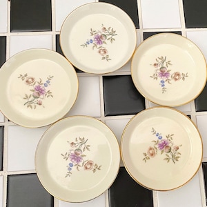 Royal Copenhagen Frijsenborg Floral Tray: 1950s Vintage Porcelain Plate