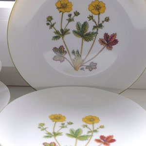 Porsgrund Fjell Flora groene rand. Alpine wateraardbei bergbloem. Selecteer eenheid(en): koffiekop, schotel en/of taartbord. Vintage Noorwegen.