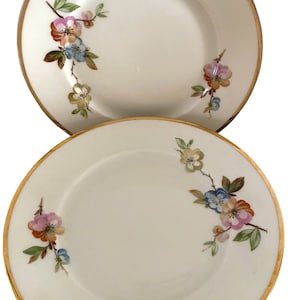Antique KPM Denmark Apple Blossom Side Plate: Gold Accent Fine Bone China
