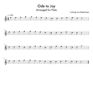 Flute Music Sheets - Ode to Joy - Beethoven - Digital Download