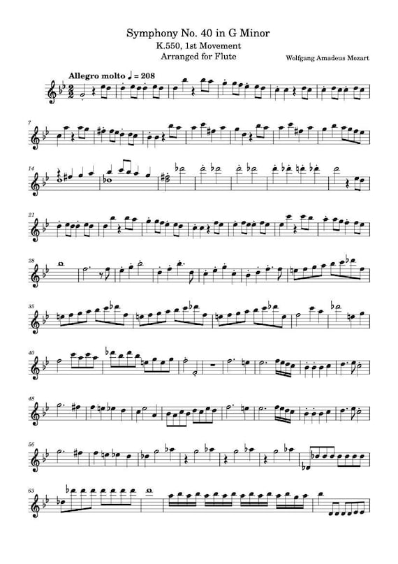 フルート楽譜 - 交響曲第40番ト短調 K550 第1楽章 フルート用に編曲