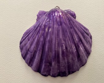 Purple oyster half Shell, painted.